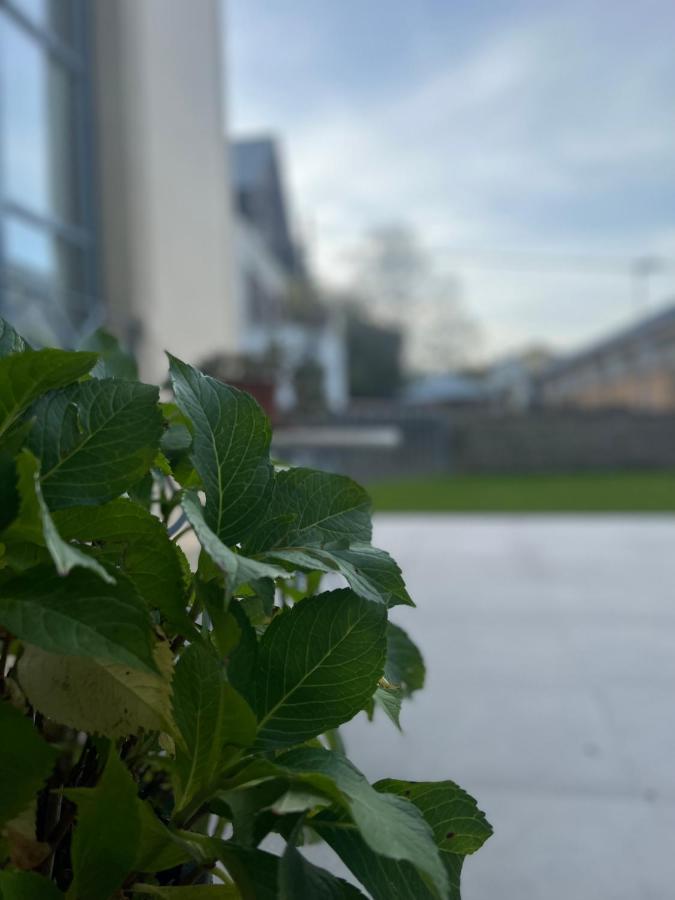 Atic Casa Pomar Lägenhet Camprodon Exteriör bild